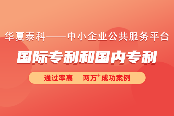 国际专利和国内专利的区别是什么？